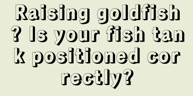 Raising goldfish? Is your fish tank positioned correctly?