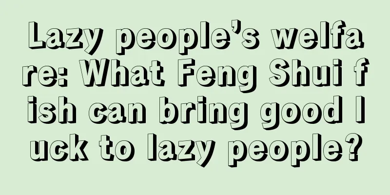 Lazy people’s welfare: What Feng Shui fish can bring good luck to lazy people?