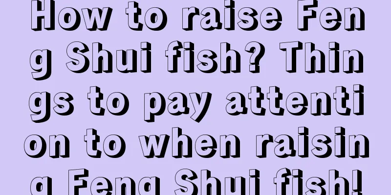 How to raise Feng Shui fish? Things to pay attention to when raising Feng Shui fish!