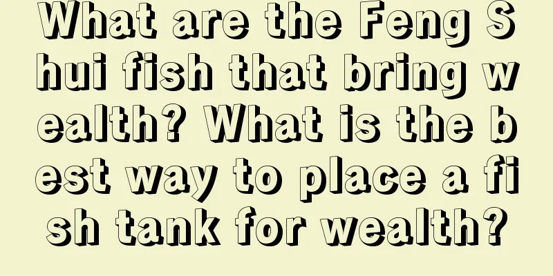 What are the Feng Shui fish that bring wealth? What is the best way to place a fish tank for wealth?