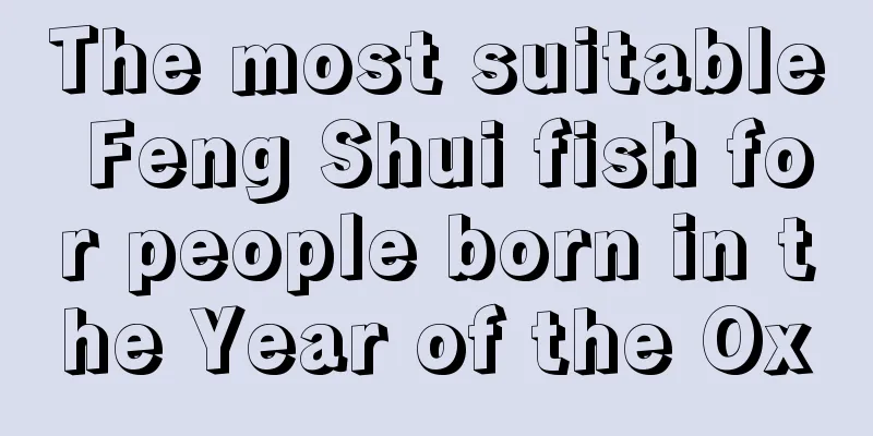 The most suitable Feng Shui fish for people born in the Year of the Ox