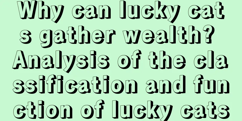 Why can lucky cats gather wealth? Analysis of the classification and function of lucky cats