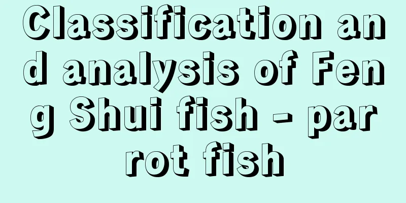 Classification and analysis of Feng Shui fish - parrot fish