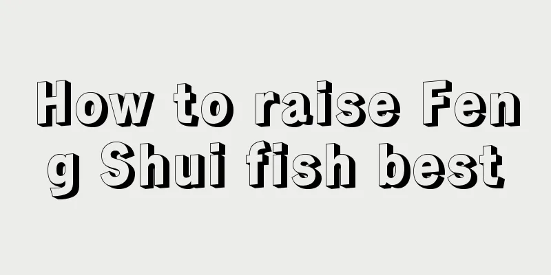 How to raise Feng Shui fish best