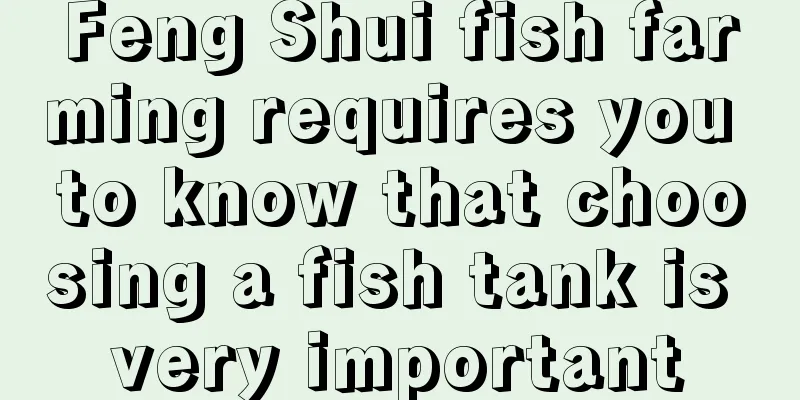Feng Shui fish farming requires you to know that choosing a fish tank is very important
