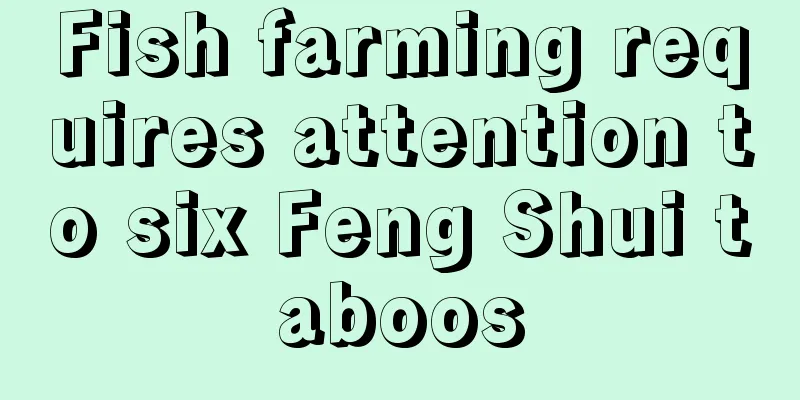 Fish farming requires attention to six Feng Shui taboos