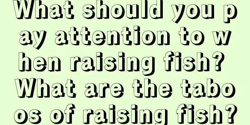 What should you pay attention to when raising fish? What are the taboos of raising fish?
