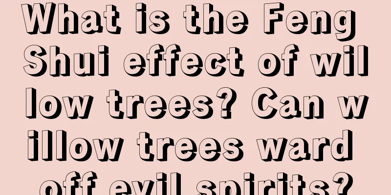What is the Feng Shui effect of willow trees? Can willow trees ward off evil spirits?
