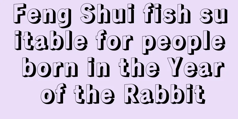 Feng Shui fish suitable for people born in the Year of the Rabbit