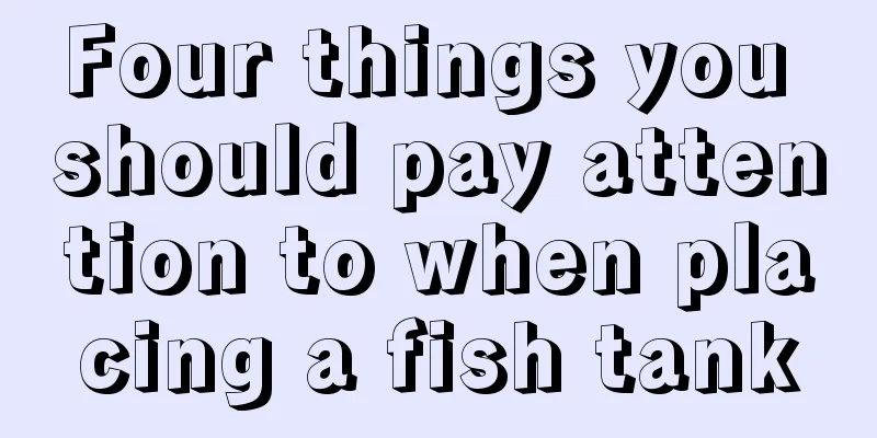 Four things you should pay attention to when placing a fish tank