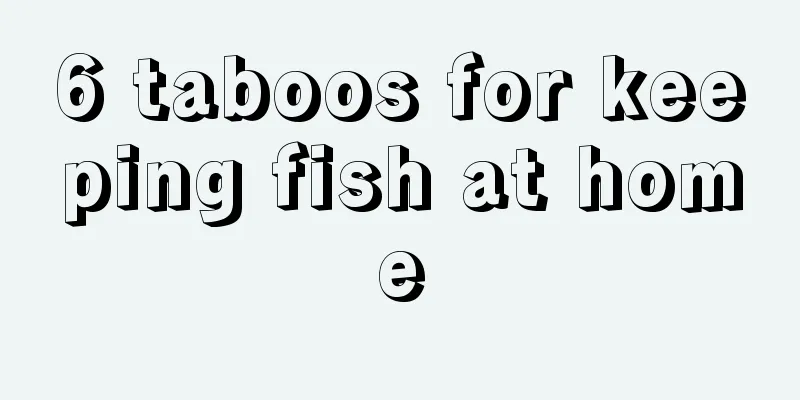 6 taboos for keeping fish at home