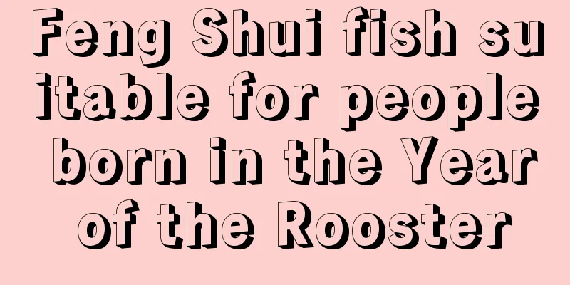 Feng Shui fish suitable for people born in the Year of the Rooster