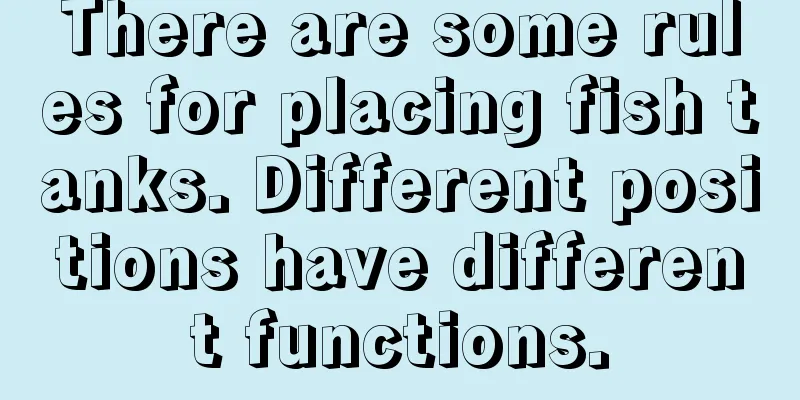 There are some rules for placing fish tanks. Different positions have different functions.
