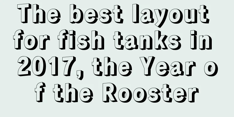 The best layout for fish tanks in 2017, the Year of the Rooster