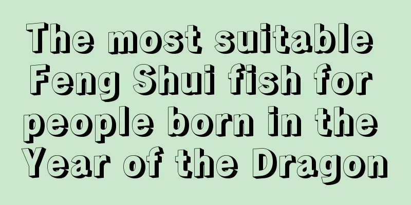 The most suitable Feng Shui fish for people born in the Year of the Dragon
