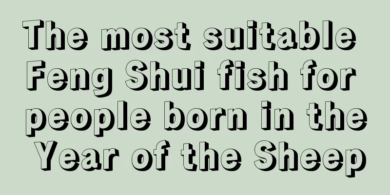 The most suitable Feng Shui fish for people born in the Year of the Sheep