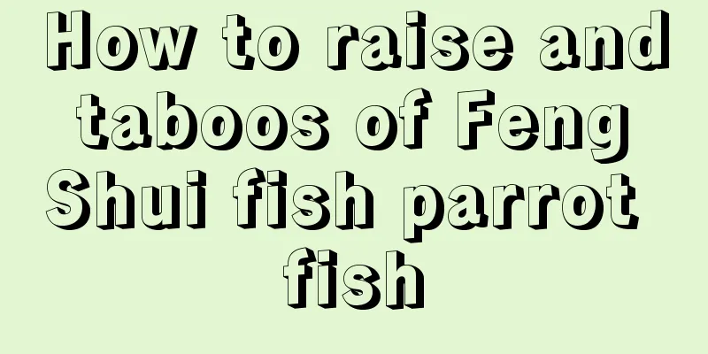 How to raise and taboos of Feng Shui fish parrot fish