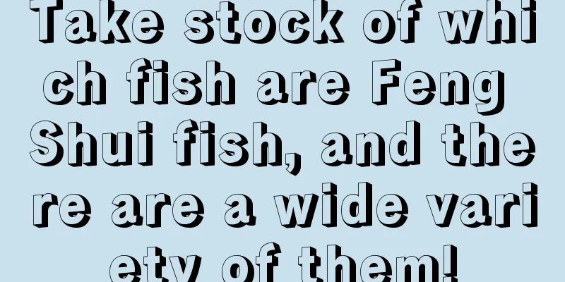 Take stock of which fish are Feng Shui fish, and there are a wide variety of them!