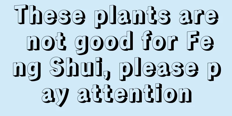 These plants are not good for Feng Shui, please pay attention