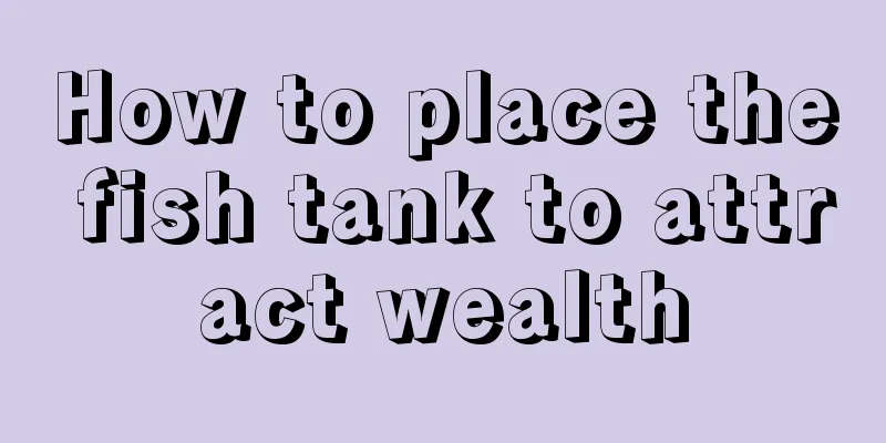 How to place the fish tank to attract wealth