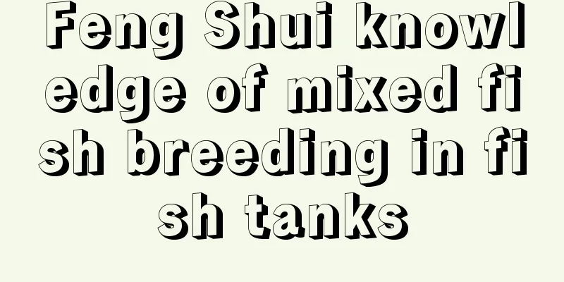 Feng Shui knowledge of mixed fish breeding in fish tanks
