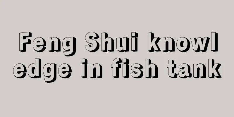 Feng Shui knowledge in fish tank