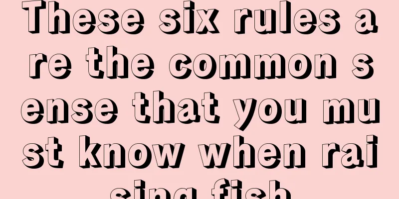 These six rules are the common sense that you must know when raising fish