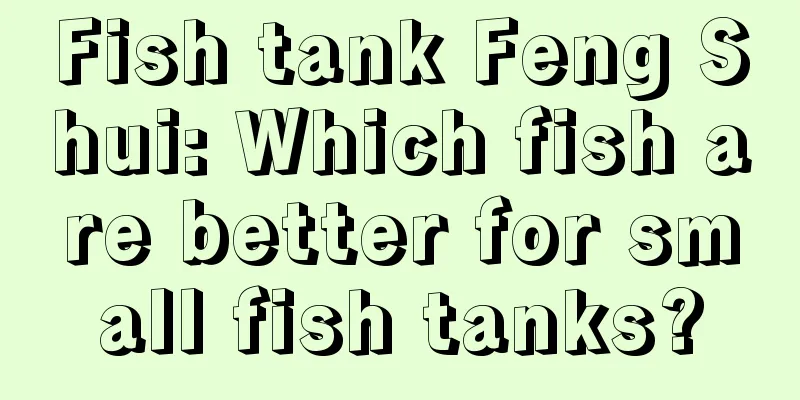 Fish tank Feng Shui: Which fish are better for small fish tanks?