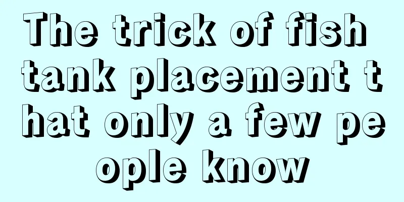 The trick of fish tank placement that only a few people know