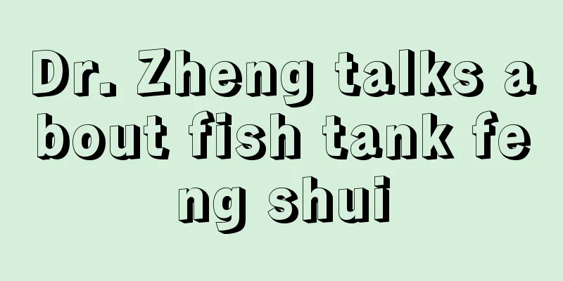 Dr. Zheng talks about fish tank feng shui