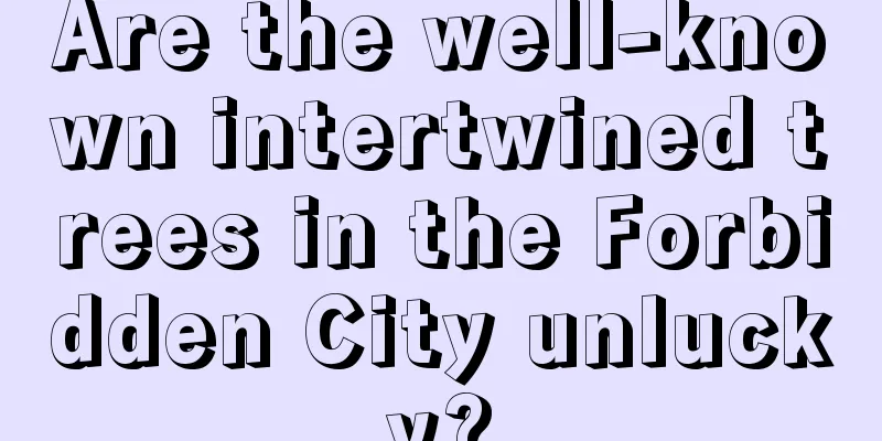 Are the well-known intertwined trees in the Forbidden City unlucky?