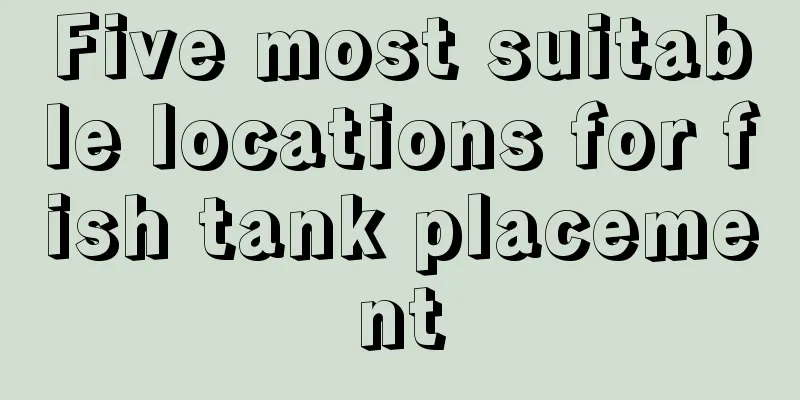 Five most suitable locations for fish tank placement