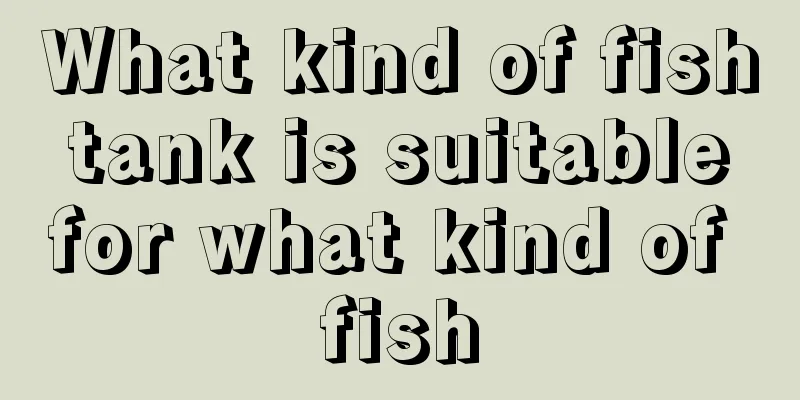 What kind of fish tank is suitable for what kind of fish