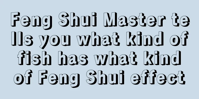 Feng Shui Master tells you what kind of fish has what kind of Feng Shui effect