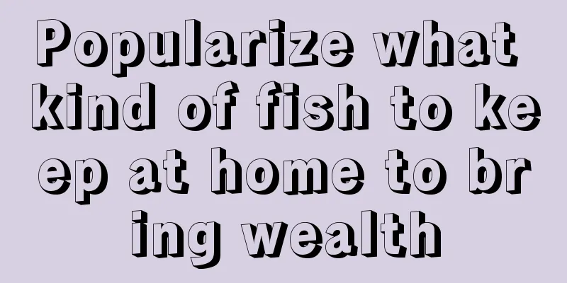 Popularize what kind of fish to keep at home to bring wealth