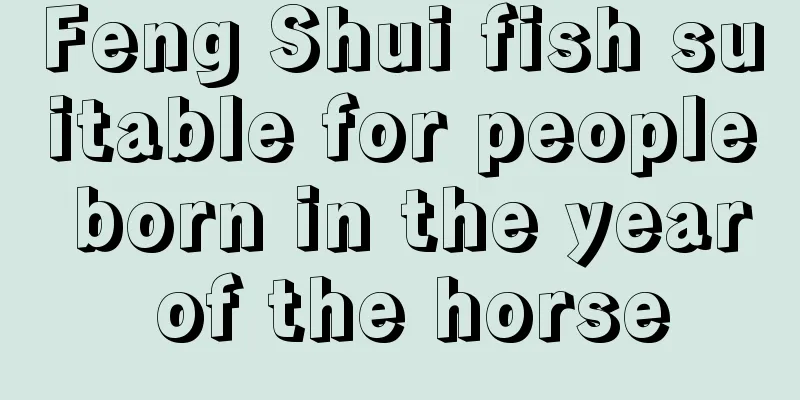 Feng Shui fish suitable for people born in the year of the horse