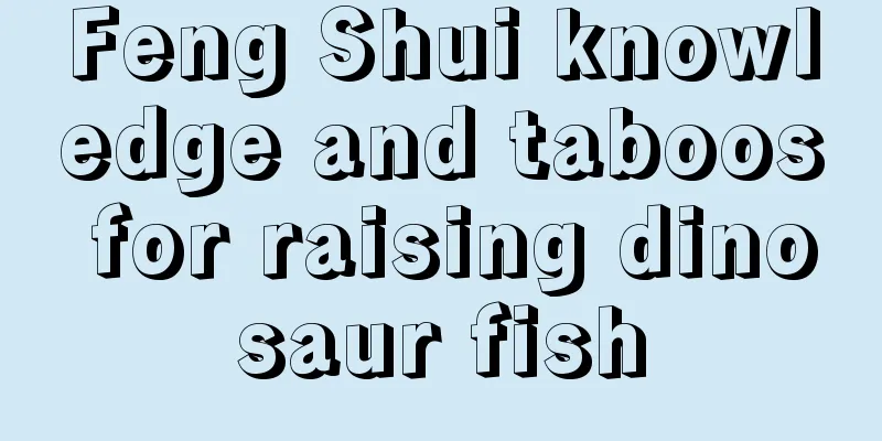 Feng Shui knowledge and taboos for raising dinosaur fish