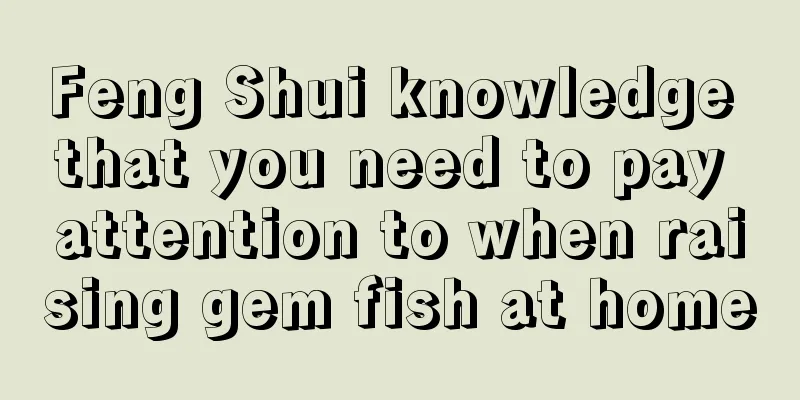 Feng Shui knowledge that you need to pay attention to when raising gem fish at home