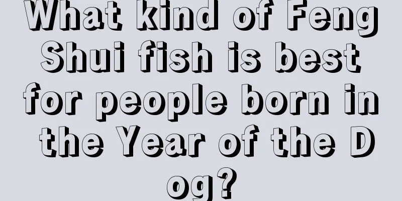 What kind of Feng Shui fish is best for people born in the Year of the Dog?