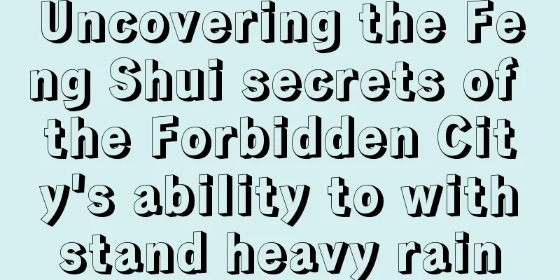 Uncovering the Feng Shui secrets of the Forbidden City's ability to withstand heavy rain