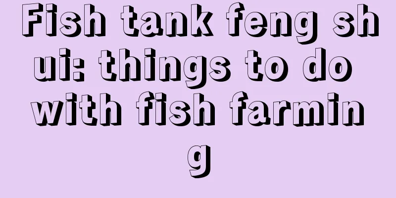 Fish tank feng shui: things to do with fish farming