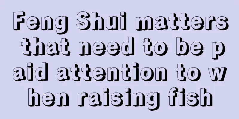 Feng Shui matters that need to be paid attention to when raising fish