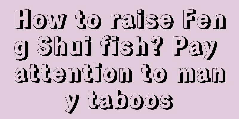 How to raise Feng Shui fish? Pay attention to many taboos