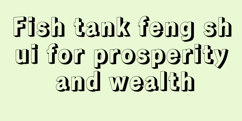 Fish tank feng shui for prosperity and wealth