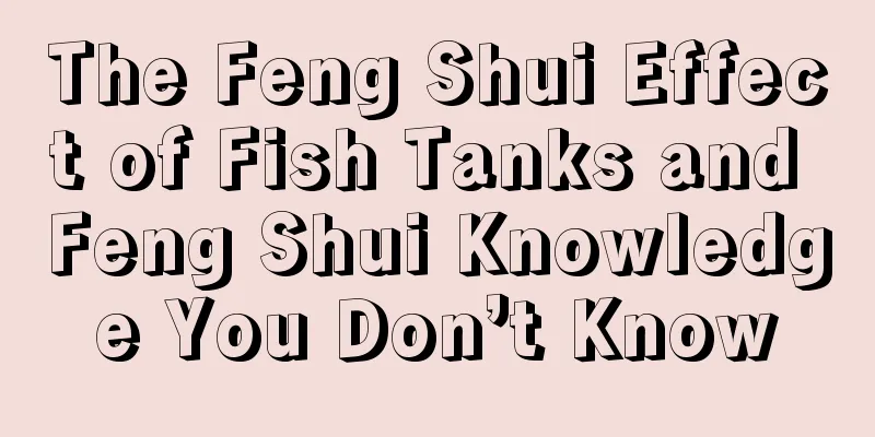 The Feng Shui Effect of Fish Tanks and Feng Shui Knowledge You Don’t Know
