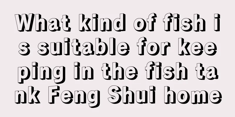 What kind of fish is suitable for keeping in the fish tank Feng Shui home