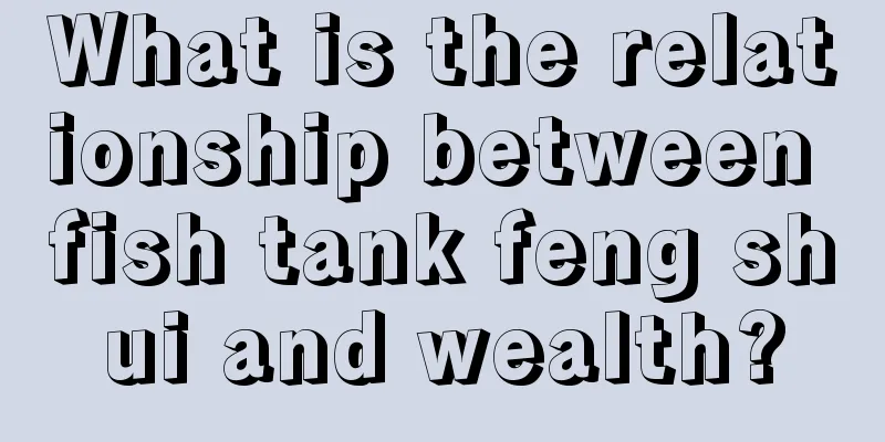 What is the relationship between fish tank feng shui and wealth?