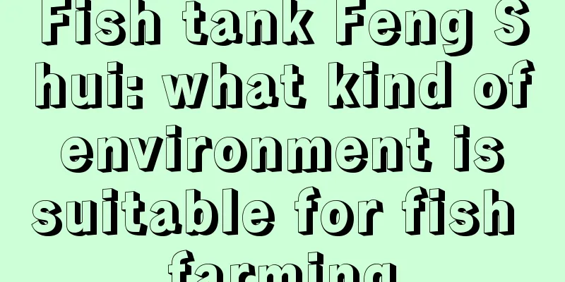 Fish tank Feng Shui: what kind of environment is suitable for fish farming